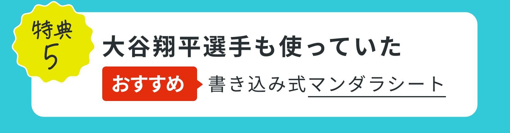 特典5｜大谷翔平選手も使っていたおすすめ書き込み式マンダラシート